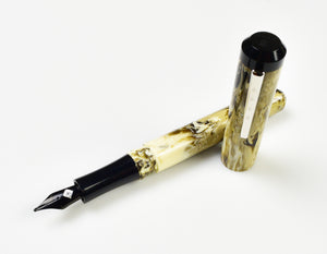 Model 31 Omnis Fountain Pen - Cold Brew SE
