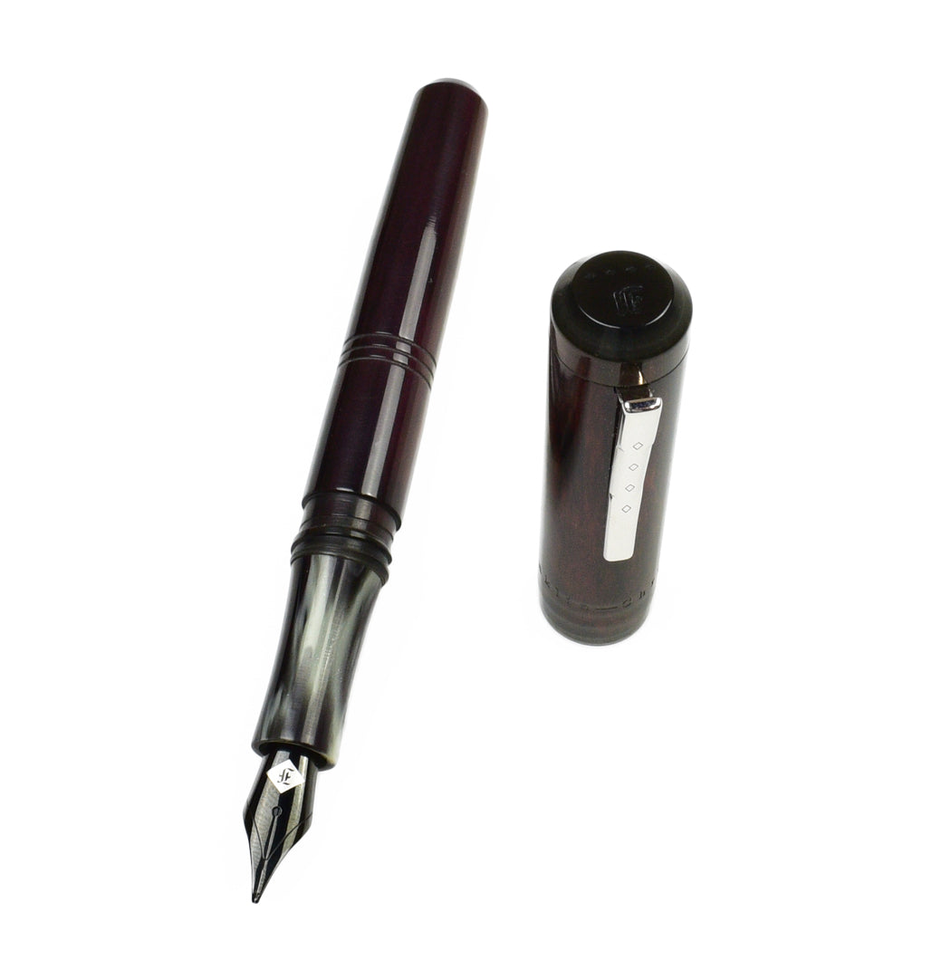 Model 31 Omnis Fountain Pen - Purple Haze – Franklin-Christoph