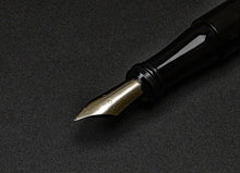 Load image into Gallery viewer, #6 Nib Choice on pen