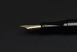 T-FLEX #6 Nib Unit
