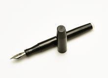 Load image into Gallery viewer, Model 46L FP - Black Diamond and Snow SE