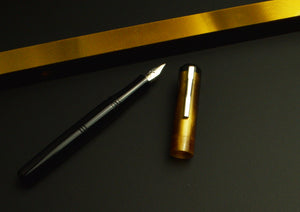 Model 31 Omnis Fountain Pen - Gold Rising